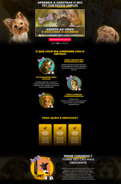 TEMPLATES PARA PET 1